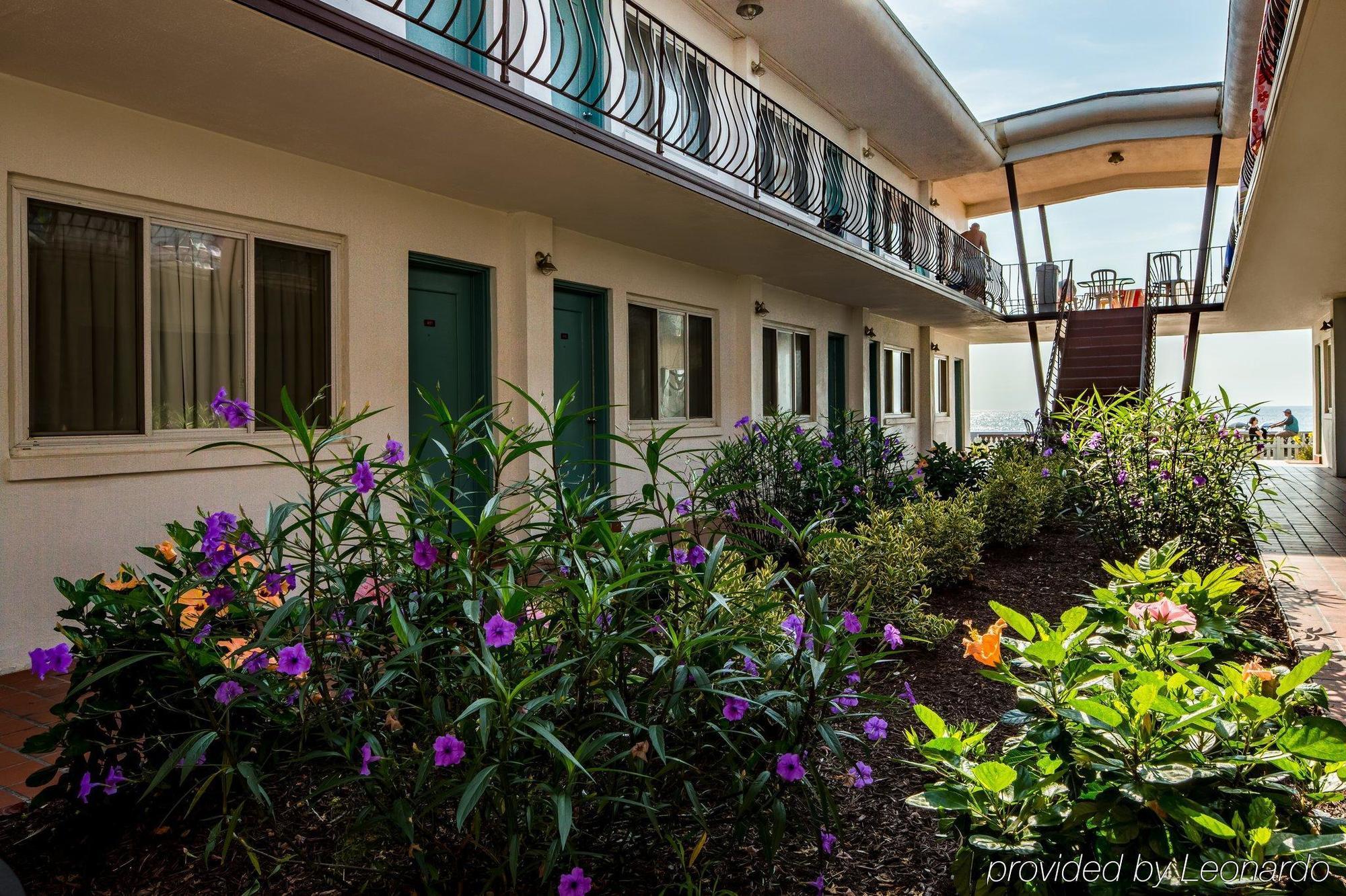 Beach Plaza Hotel Ocean City Exterior photo